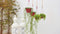 Algarve Hangpot - Plantenbak/bloempot - Antraciet - H17,5 cm x B31 cm L31 cm - UV bestendig - Artevasi