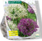 Allium Giant Mix per 3 | Bloembollen | Flower bulbs | Najaarsbloeier |Bulb les fleurs | Sierui