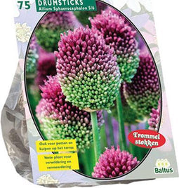Allium Sphaerocephalon per 75