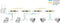 Allnet ALL-GHN101-2wire Master Modem Netwerkuitbreiding 2-draads Reikwijdte (max.): 350 m 1 stuk(s) 500 MBit/s