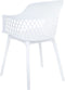 ALMIRA - Eetkamerstoel set van 2 - Wit - Polypropyleen