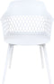 ALMIRA - Eetkamerstoel set van 2 - Wit - Polypropyleen