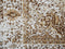 ALMUS - Laagpolig vloerkleed - Beige - 160 x 230 cm - Katoen