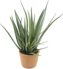 aloe vera 47 cm kunstplant