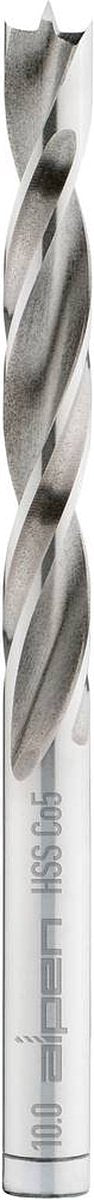 Alpen 0063300900100 Hout-spiraalboor 9 mm Gezamenlijke lengte 125 mm 1 stuk(s)