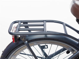 Alpina Achterdrager 20 Clubb satin black matt