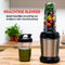 alpina Smoothie Maker - Blender To Go 500ml tot 1L - 1200W - RVS