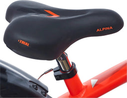 Alpina Zadel 20-22 Trial