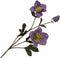 Silk-ka Kunstbloem-Zijde Bloem Helleborus Tak Paars 72 cm Voordeelaanbod Per 2 Stuks