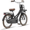Altec Urban Transportfiets 20 inch Zwart