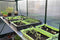 ALU GROWER 200 X 62,5 CM