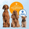 Vulpes Goods® Pets - Ultrasone Anti Blaf Apparaat Elite - 5-in-1 - 3 Frequenties - 15m Bereik - USB-C Oplaadbaar - Zwart