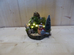 Amaryllis bol met mos en kerstverlichting met vogel