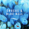 Ambi Pur Electric Navulling 3volution - Crocus & Bluebell 20 ml