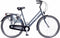 AMIGO Bright - Damesfiets 28 inch - Fiets met 3 versnellingen - Antraciet