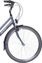 AMIGO Bright - Damesfiets 28 inch - Fiets met 3 versnellingen - Antraciet