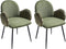AMITY - Eetkamerstoel set van 2 - Groen - Polyester