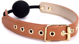 Solid Ball Gag Dream Toys Blaze