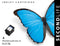 SecondLife - HP 21 XL - Inktcartridge zwart - 600 pagina's (20 ml)