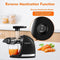 AMZCHEF Juicer Machines - Cold Press Slow Juicer