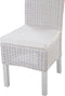 ANDES - Eetkamerstoel - Wit - Rotan