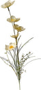 Anemoon 60cm creme