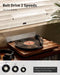 ANGELS HORN Platenspeler - Vinyl