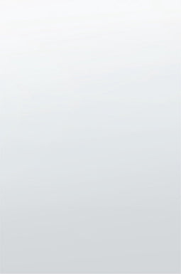 ANGERS - Wandspiegel - Zilver - Glas