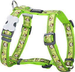 Animal Boulevard Dh-mk-lg-15 - Hals- En Leibanden - Hond - Rd Harnas Monkey Limoen Groen-s 15mm - Maat: S