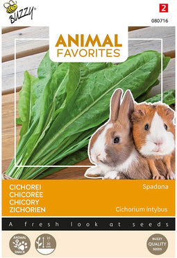 Animal favorites cichorei spadona - konijn - cavia tuinzaden