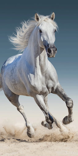 Animal Pictures Strandlaken, Paard - 70 x 140 cm - Katoen