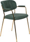 ANLI STYLE Armchair Jolien Gold/Dark Green
