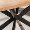 AnLi Style Eetkamertafel 200 cm visgraat fineer