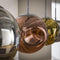 AnLi Style Hanglamp 4L stellar