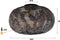 AnLi Style Plafondlamp Ø40 armor