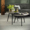 AnLi Style Salontafel Ø55 set/2 metallic ronde buis