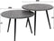 AnLi Style Salontafel Ø55 set/2 metallic ronde buis