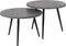 AnLi Style Salontafel Ø55 set/2 metallic ronde buis