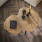 AnLi Style Salontafel set/2 driehoekig metallic / brons antiek