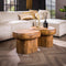 AnLi Style Salontafel set/2 sleek