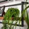 AnLi-Style Wandplank Sjimmie 30x20 cm