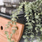 AnLi Style Wandschap half moon Ø50 met lade