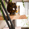 AnLi Style Wandschap set/3 lean