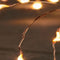 Anna Collection Draadverlichting lichtsnoer - 100 leds - koper - warm wit licht - 500 cm