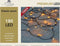 Anna Collection Draadverlichting lichtsnoer - 100 leds - koper - warm wit licht - 500 cm