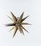 Anna Collection verlichte 3D kerstster - goud - 35 cm - kunststof