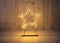 Anna's Collection - 3d ster op voet metaal 800led ip44 trafo met ti...