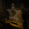 Anna's Collection - 3d ster op voet metaal 800led ip44 trafo met ti...