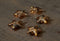 Anna's Collection - Batterijverlichting antraciet sterren 5 stuks