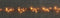 Anna's Collection - Cascade verlichting koperdraad 400l/20x2m led c...